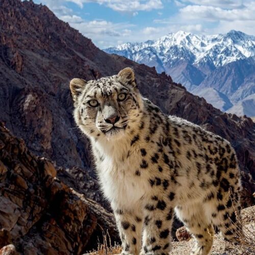 319f9735-86ab-4de7-b9b4-b16b2f00b91a