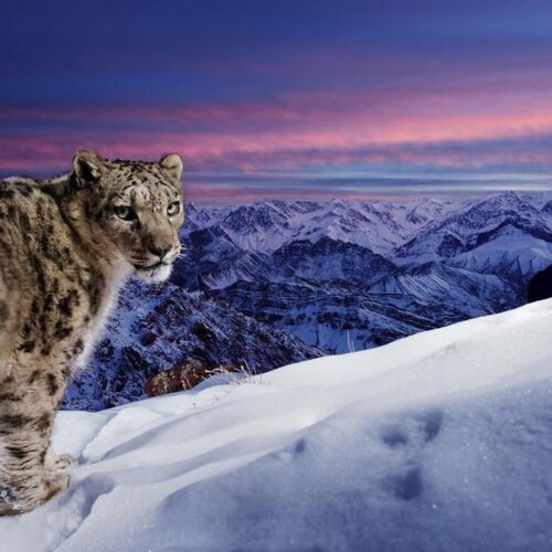 8b675504-533c-46e1-a15b-906fb051440b