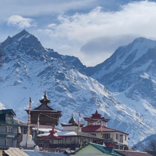 ce4b2922-7691-4a25-8fc1-eba3ed2b8e9a