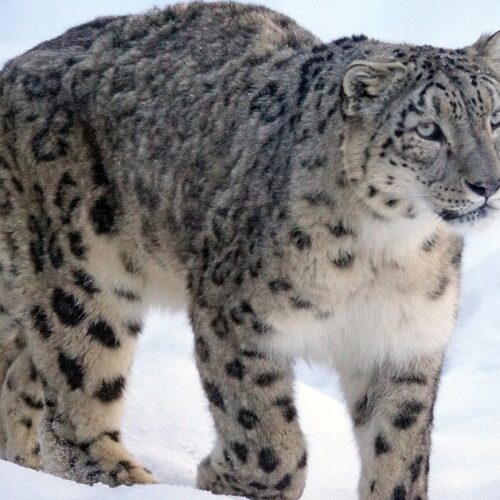 eb0a64ef-8016-436b-aa3f-e97fab0f3161