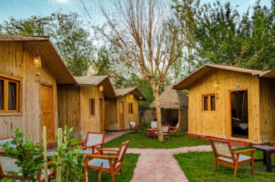 WhatsApp Image 2025-12-03 at 7.34.52 PM (2)