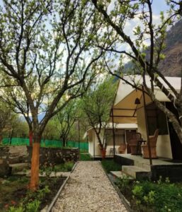 WhatsApp Image 2025-12-04 at 16.53.50_7ba3a2a7