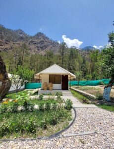 WhatsApp Image 2025-12-04 at 16.53.51_e35918b6