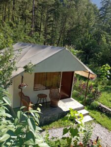 WhatsApp Image 2025-12-27 at 1.36.53 PM (1)